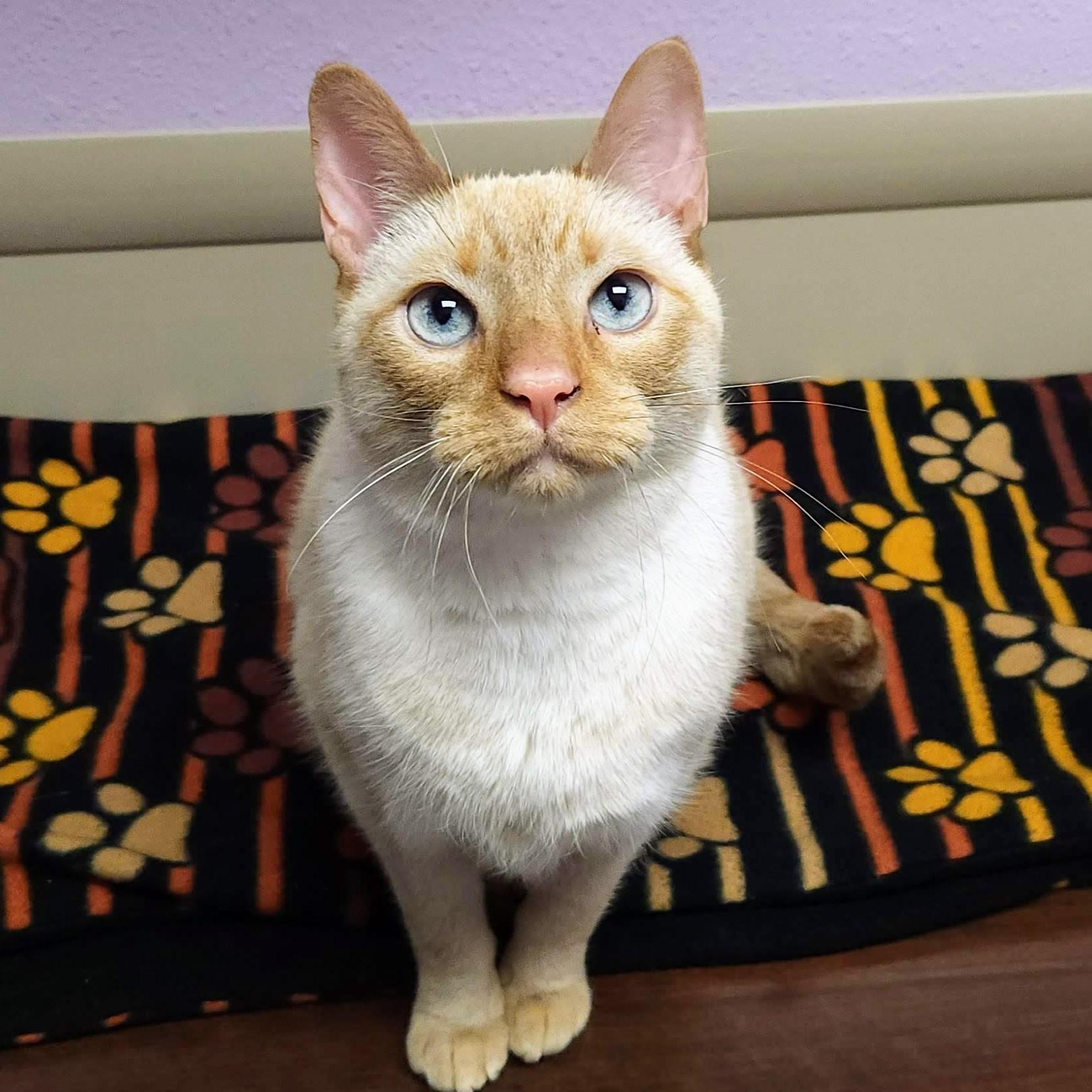 Captain & Crunch thumbnail 3