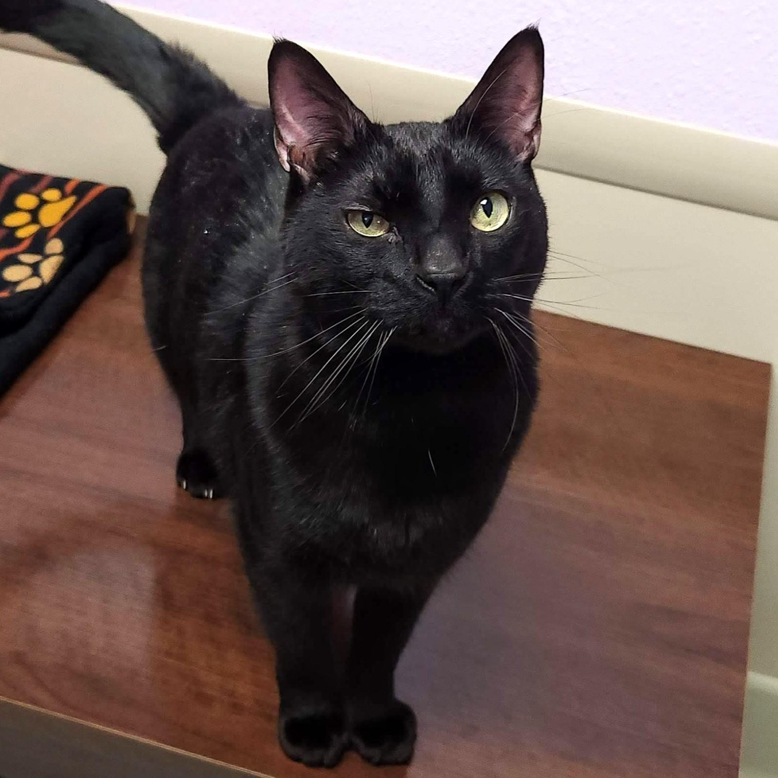 Captain & Crunch thumbnail 2