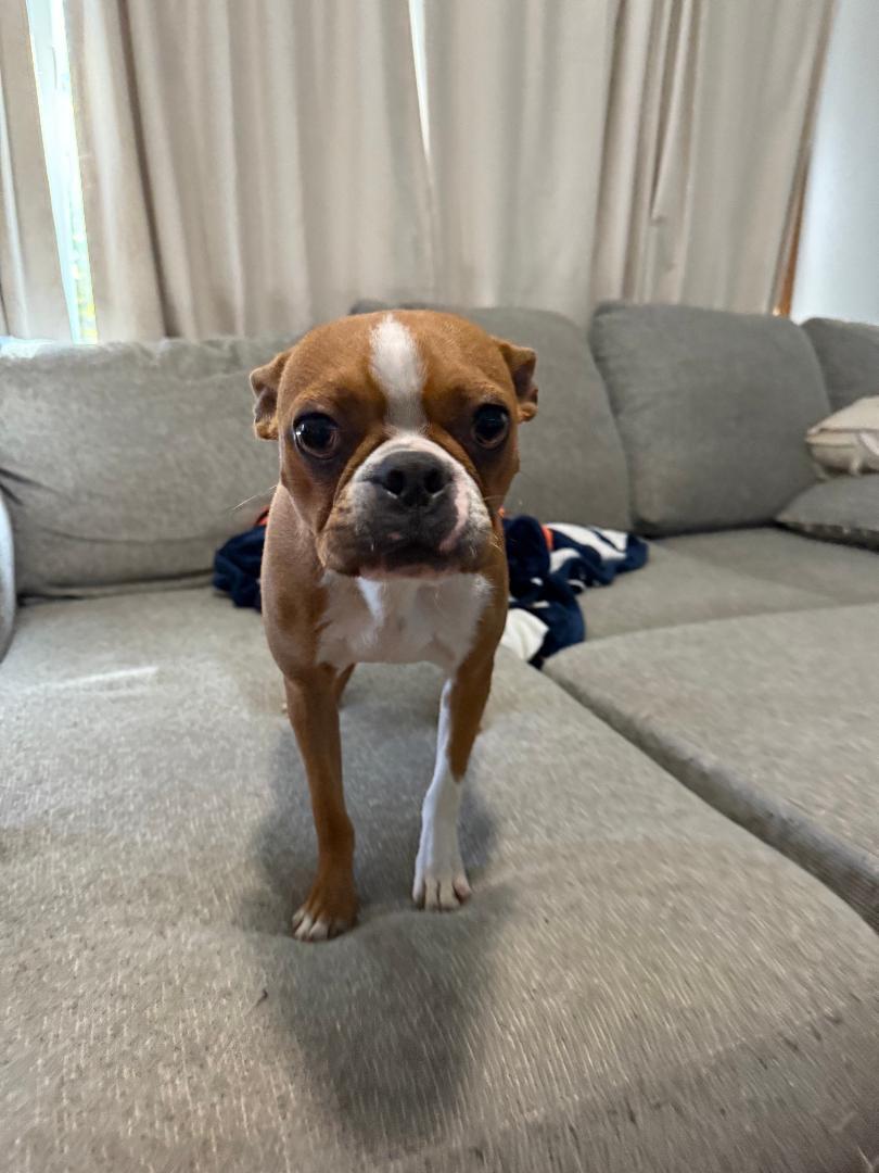 Goldie In Mo thumbnail 5