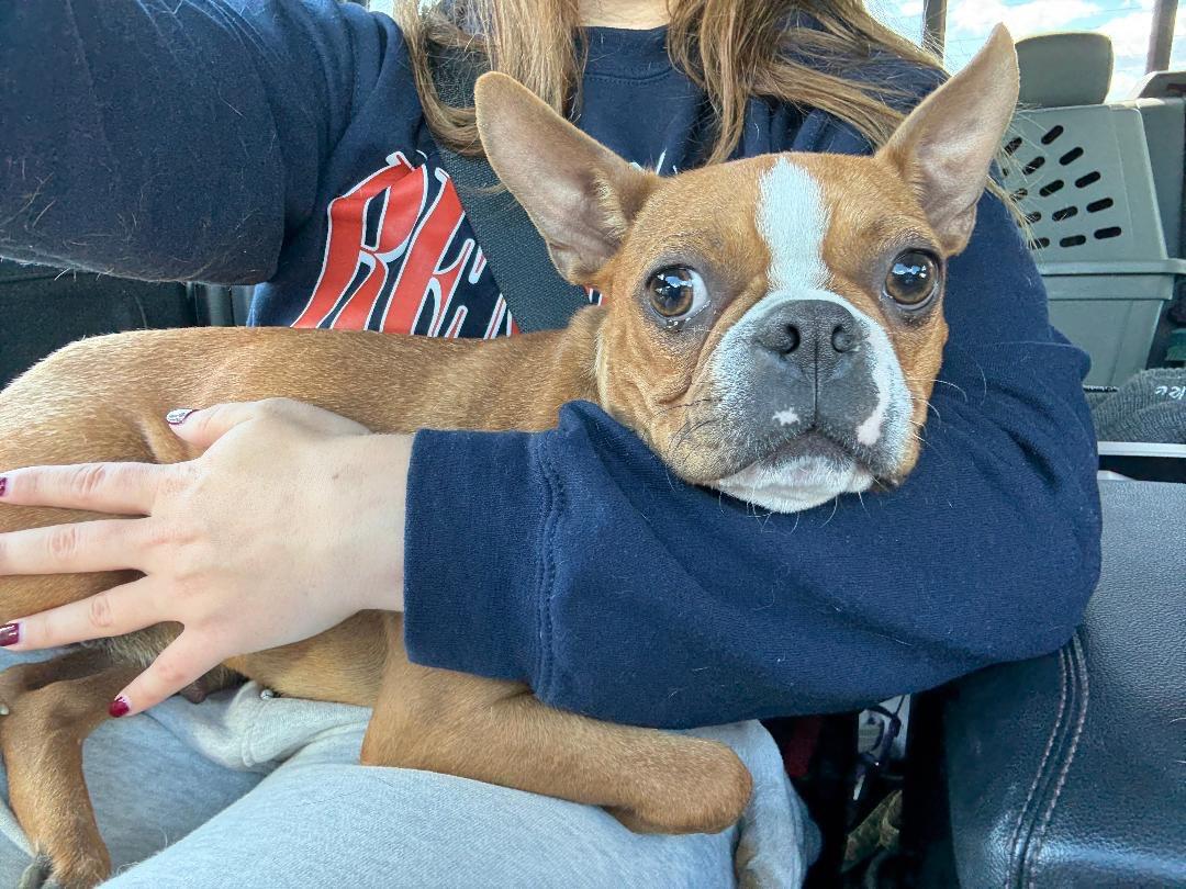 Goldie In Mo thumbnail 3