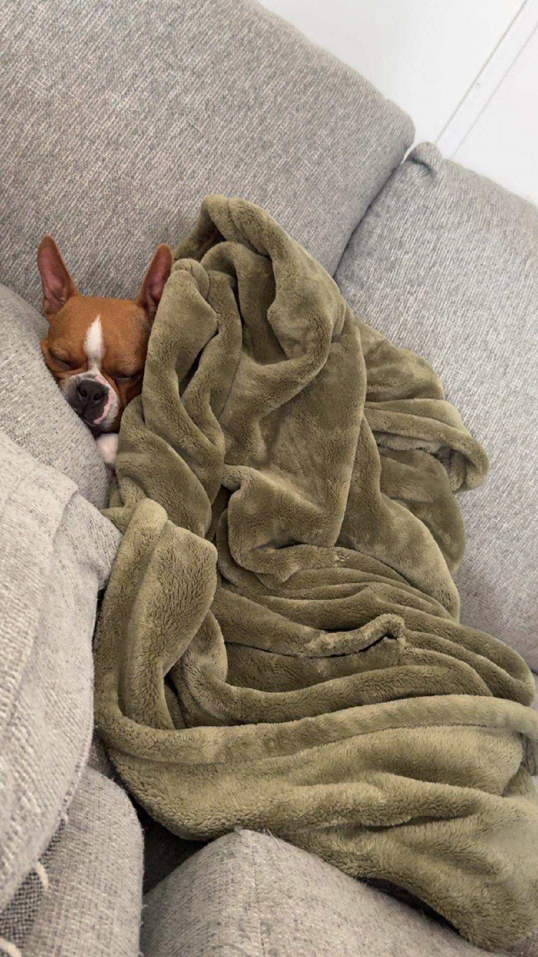 Goldie In Mo thumbnail 4