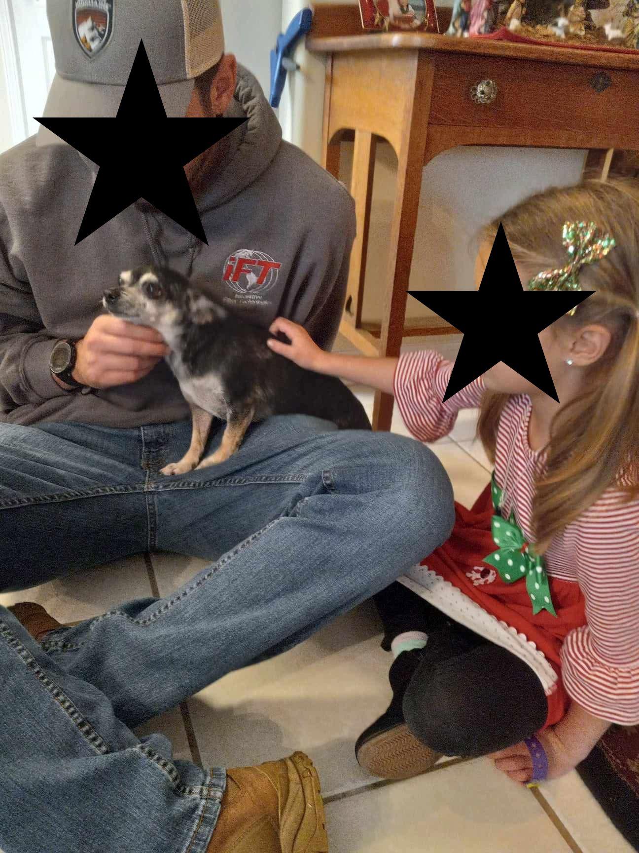 Enlarge Gracie, a Adoptable mixed breed in St Simons Island, GA image 4/5