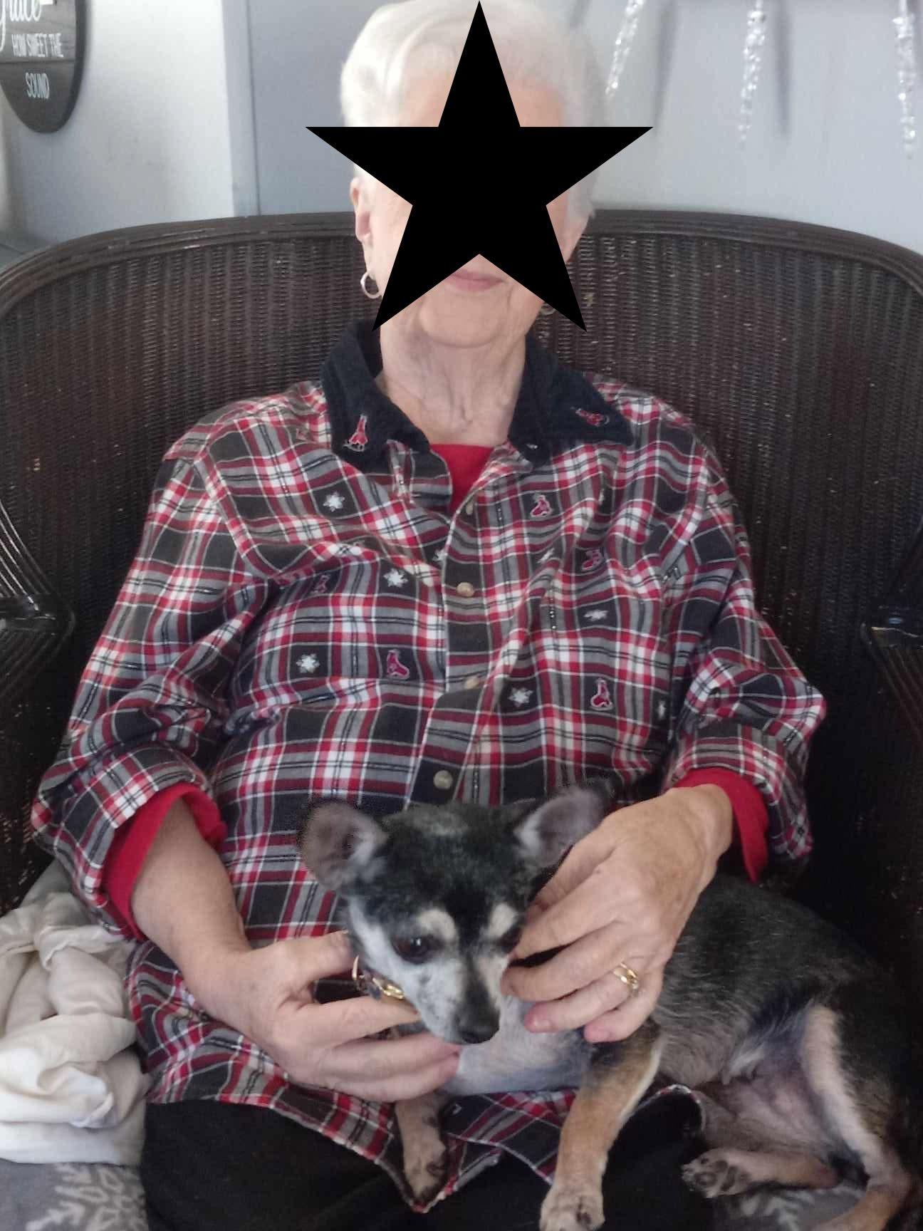 Enlarge Gracie, a Adoptable mixed breed in St Simons Island, GA image 2/5