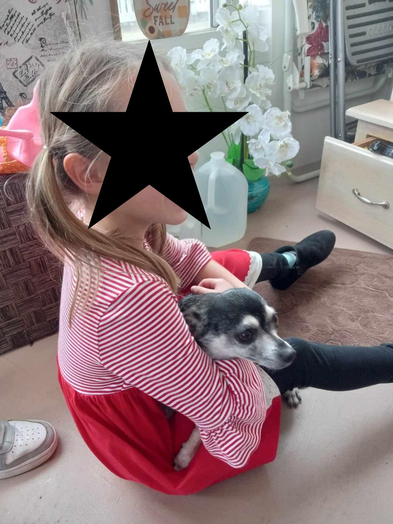 Enlarge Gracie, a Adoptable mixed breed in St Simons Island, GA image 5/5