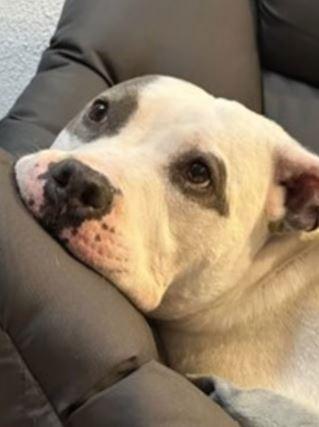 Gracie Lou thumbnail 3