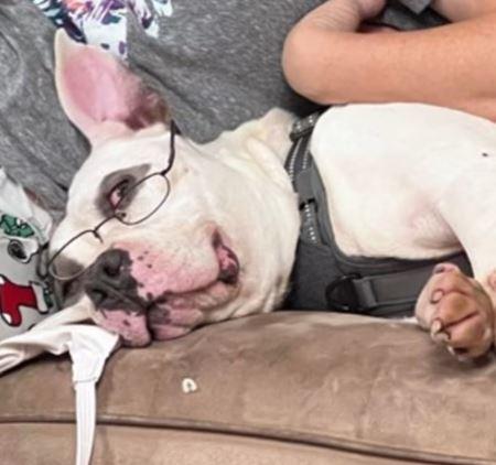 Gracie Lou thumbnail 4