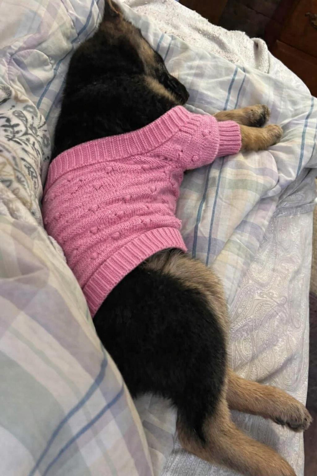 MAYA GS — thumbnail 4