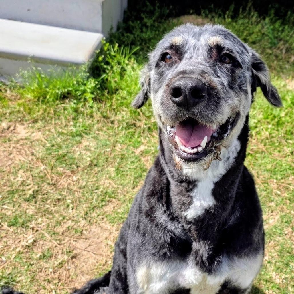 Miel — thumbnail 3