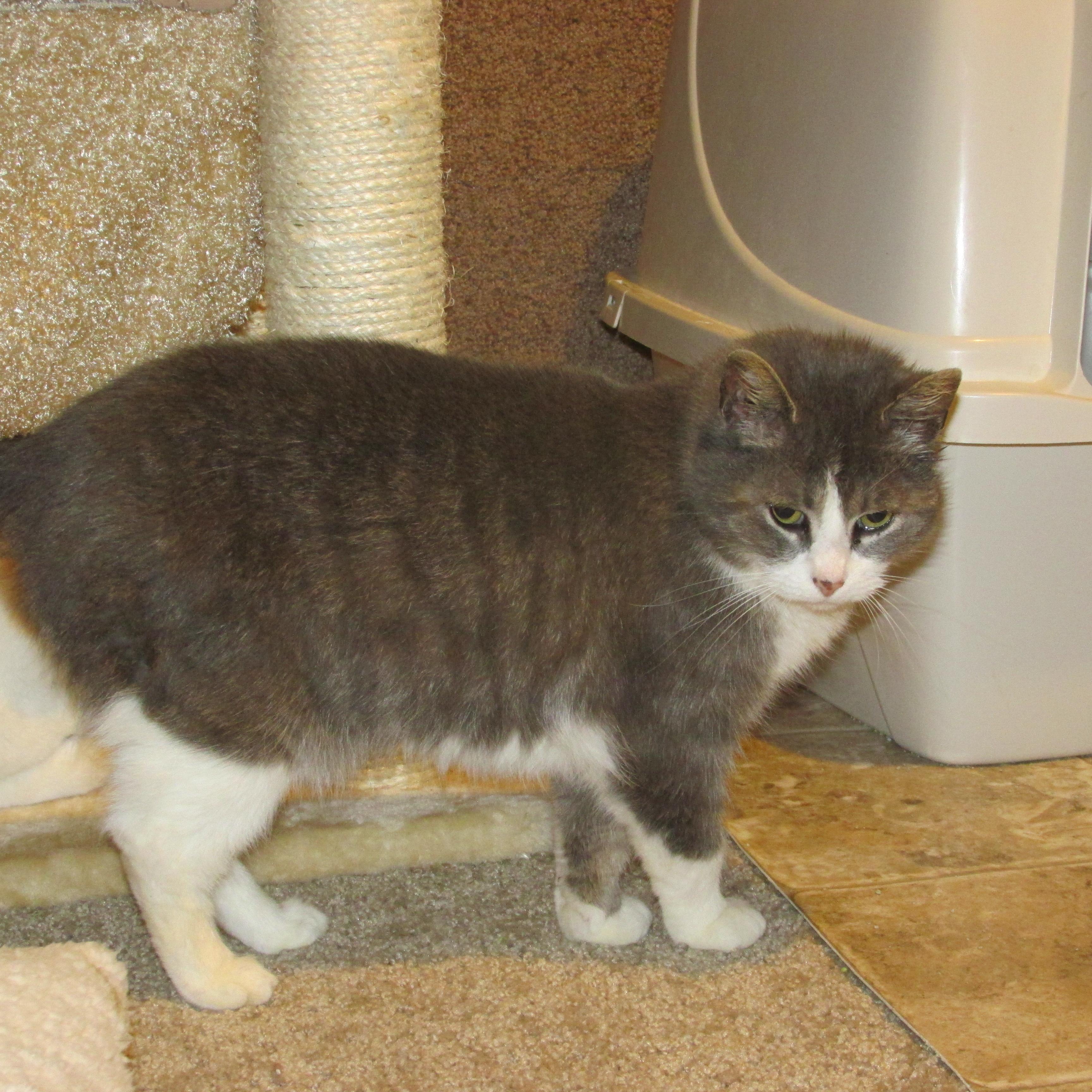 PRINCESS 2 photo 1