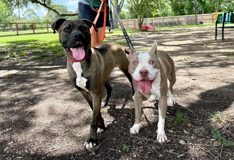 Capri Sun so sweet baby girly pop