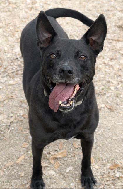 Murphy — thumbnail 2