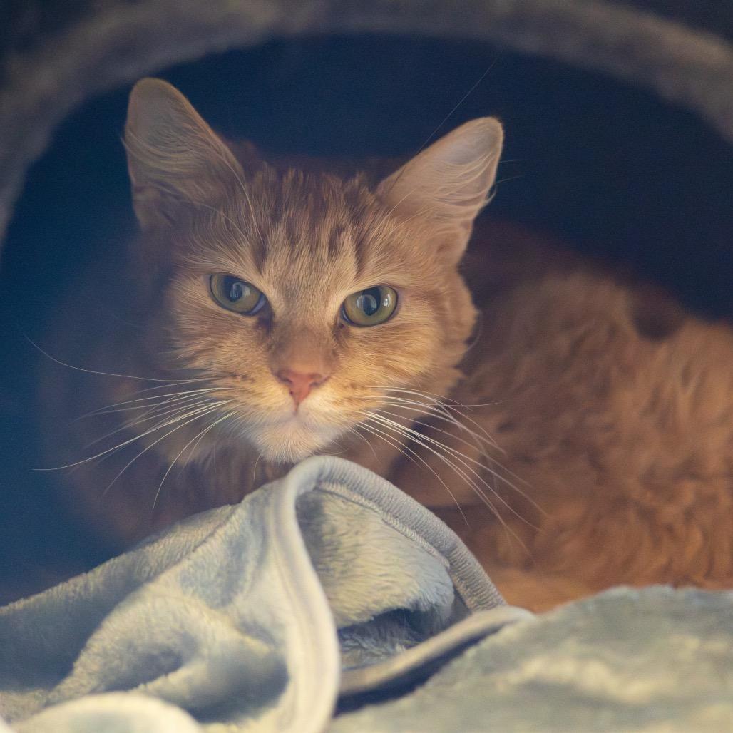 Penny — thumbnail 4