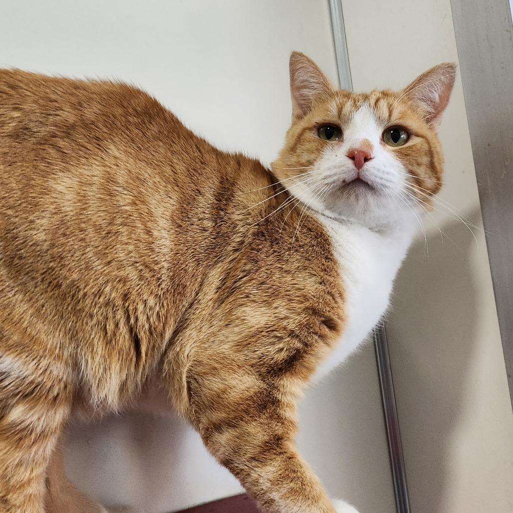 Bran — thumbnail 4