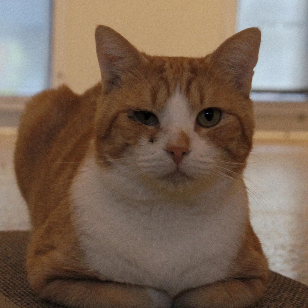 Bran — thumbnail 5