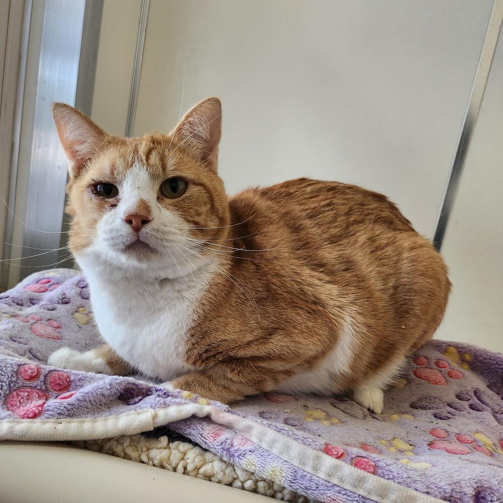 Bran — thumbnail 6