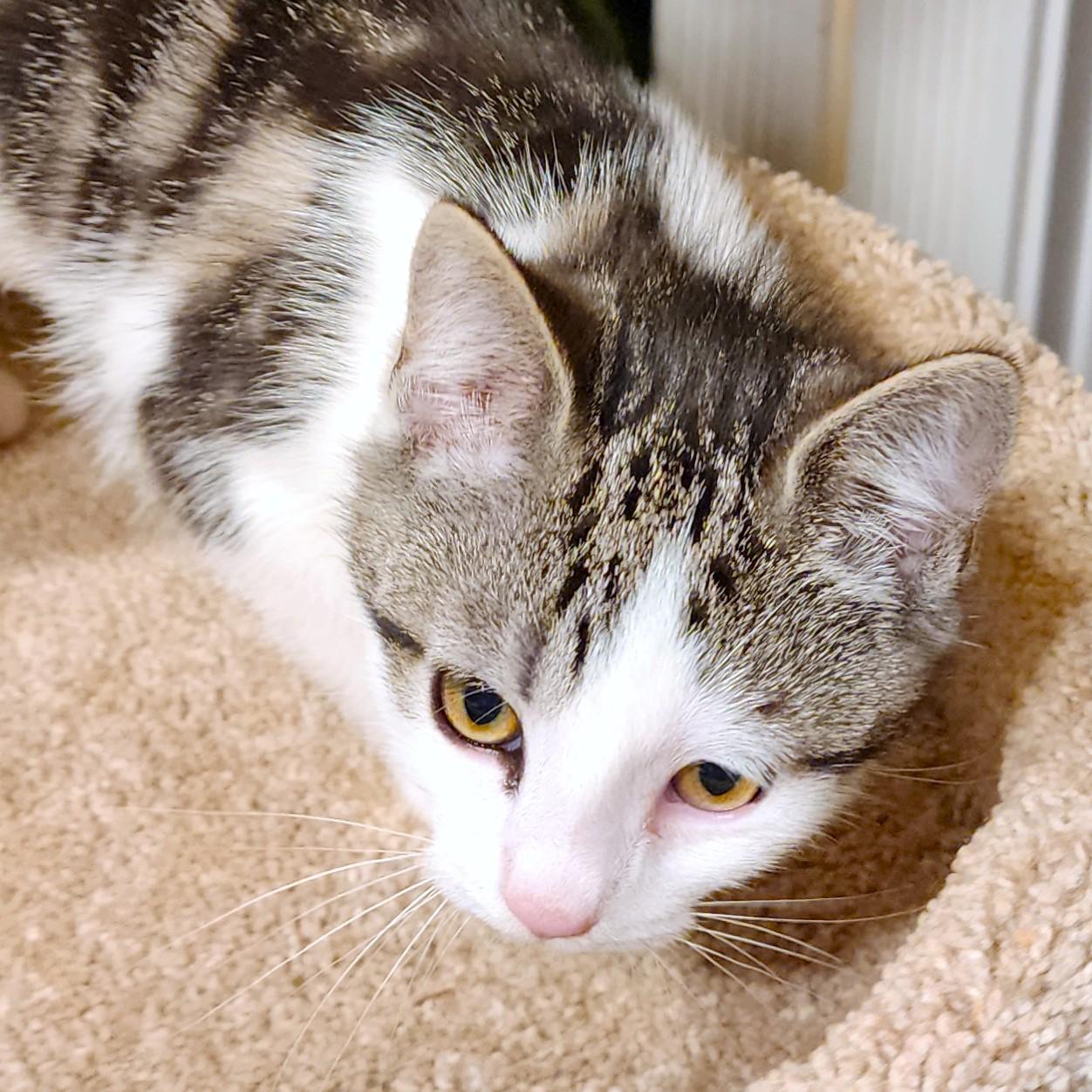 Candy Cuteness! thumbnail 5