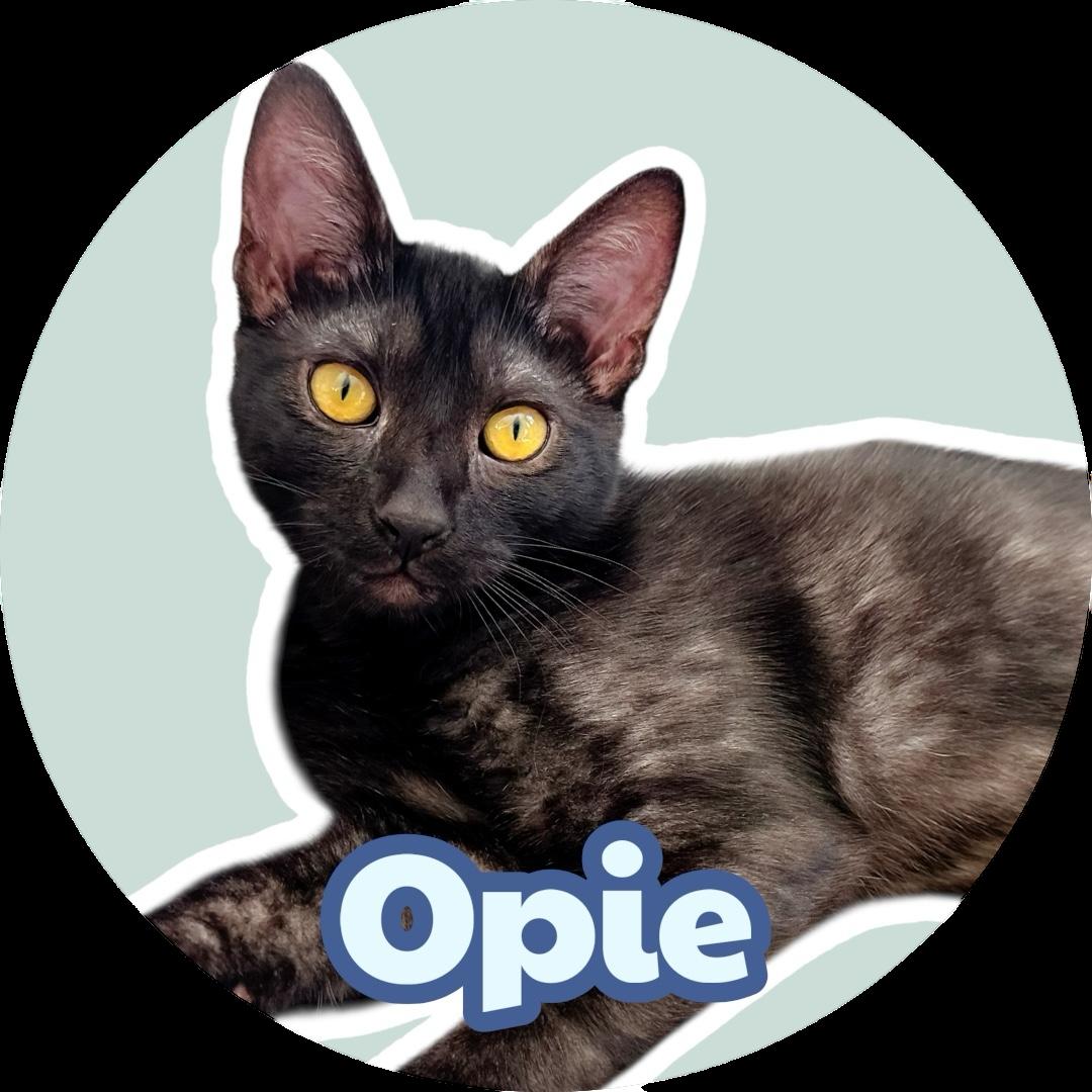 Opie