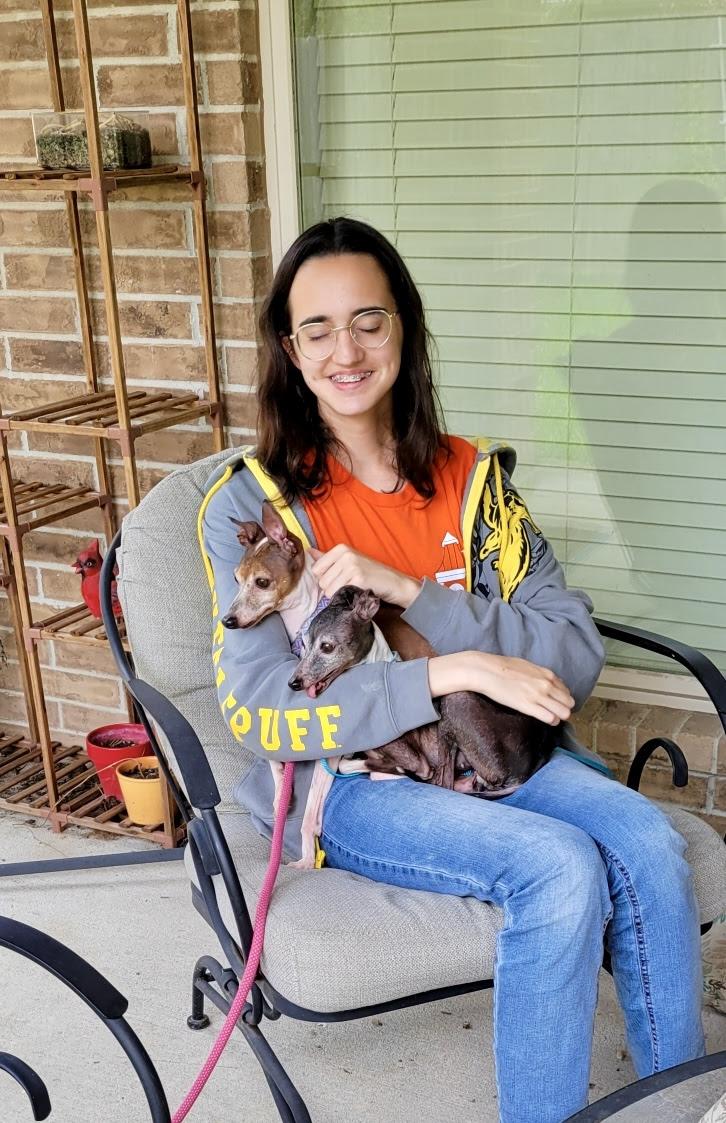 Agatha - Houston, a Adoptable Italian Greyhound in Bellaire, TX image 4/5