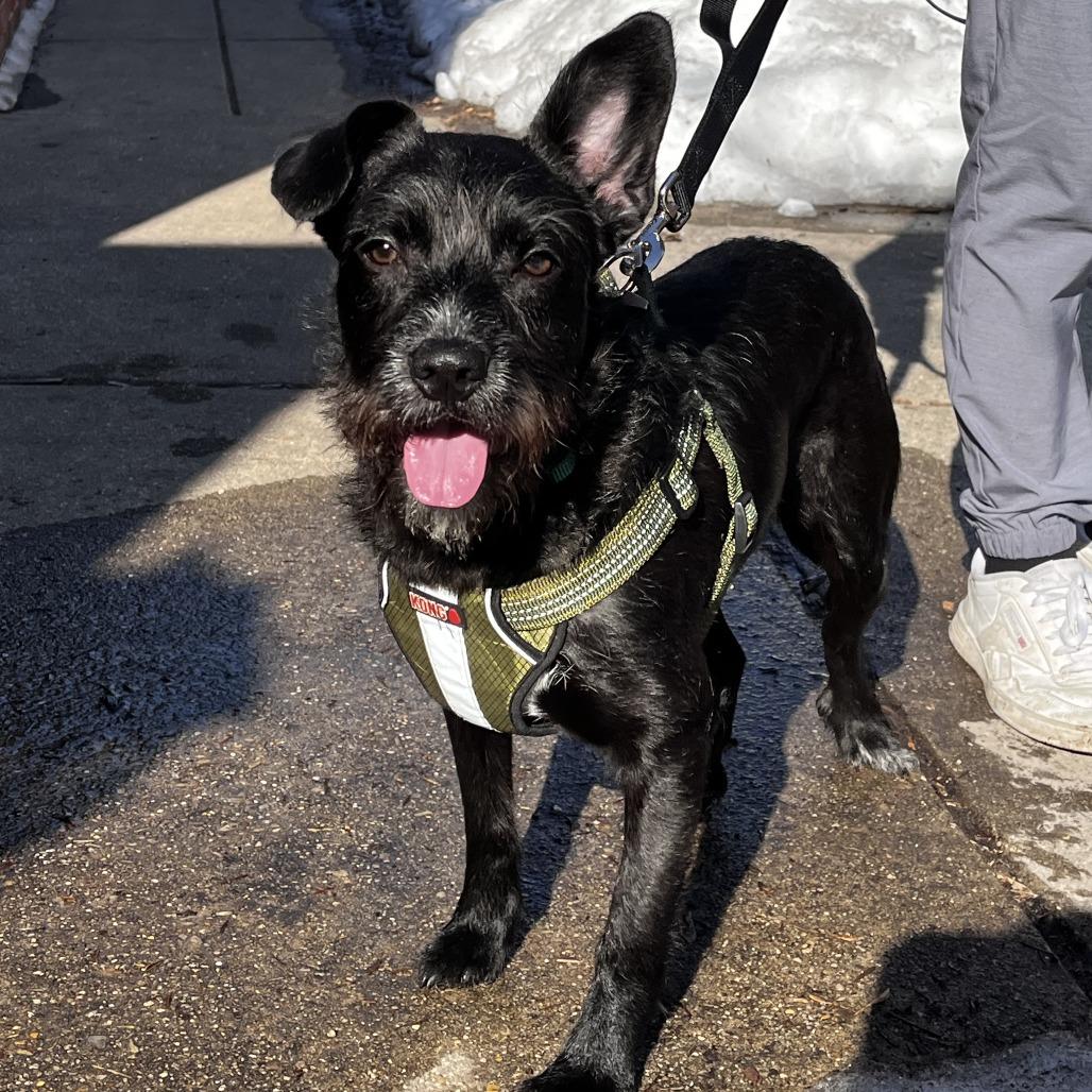 Otis — thumbnail 3