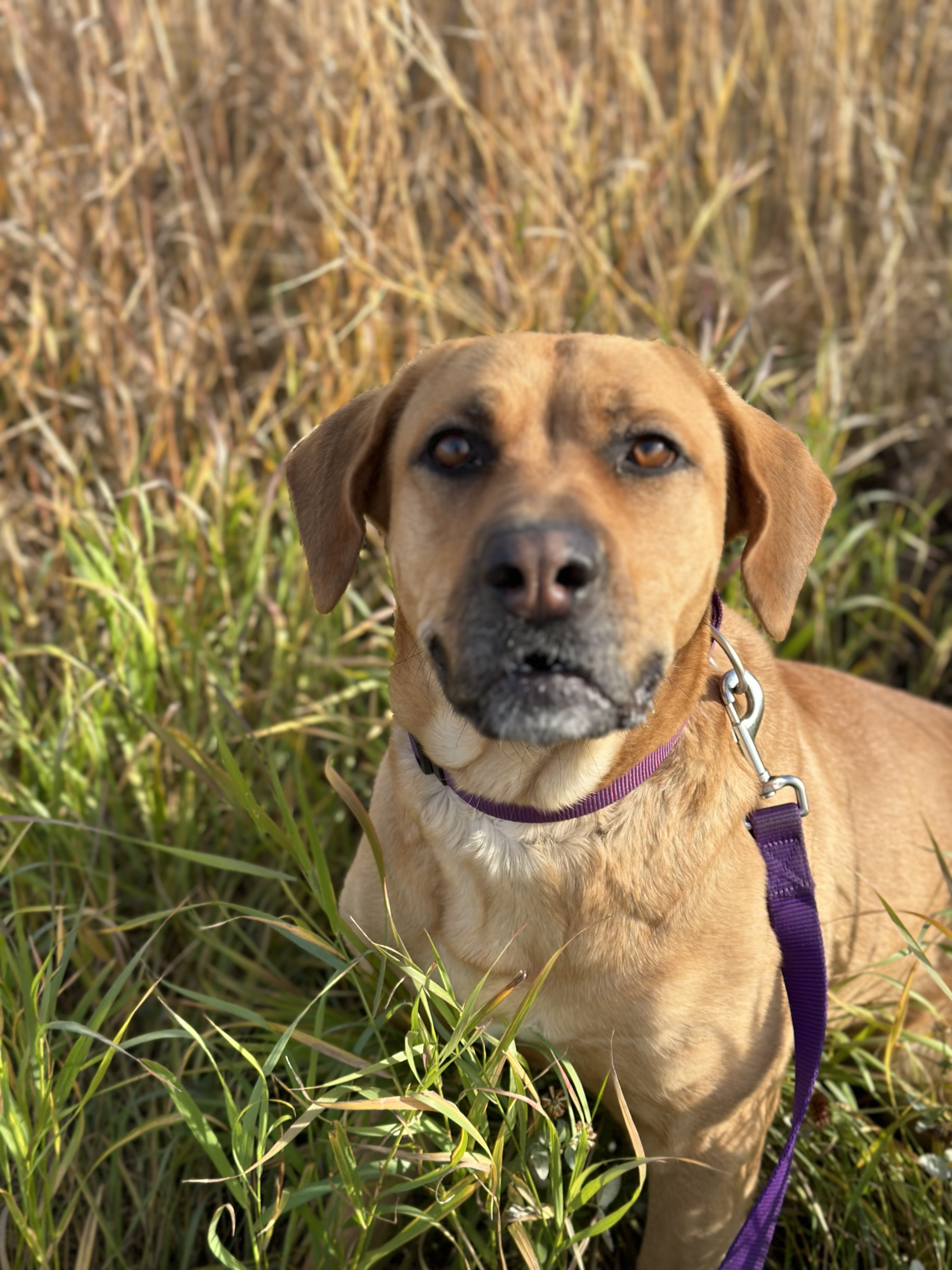 Daisy photo 4