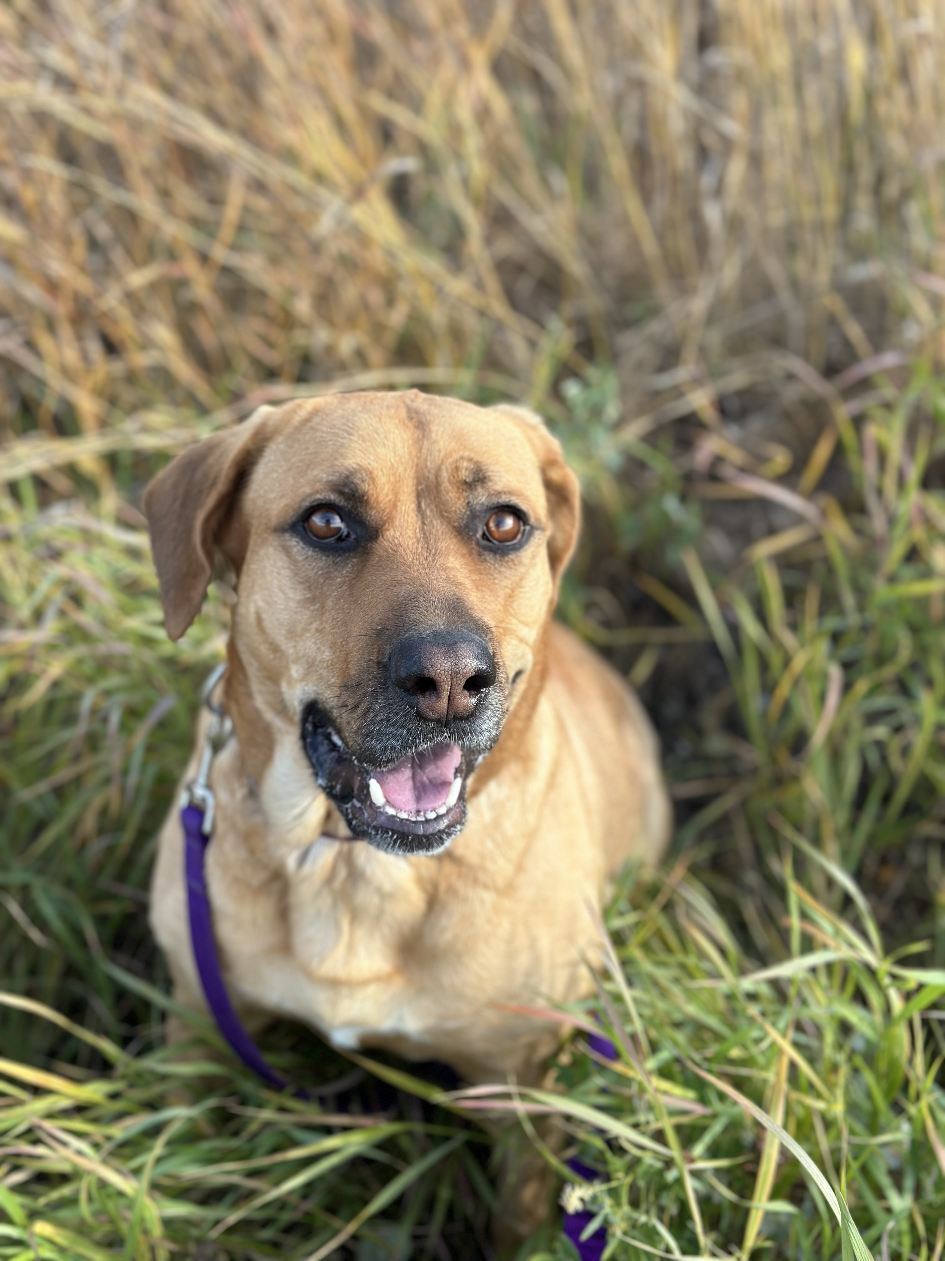 Daisy photo 5