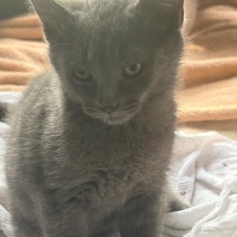 Photo of Mikko