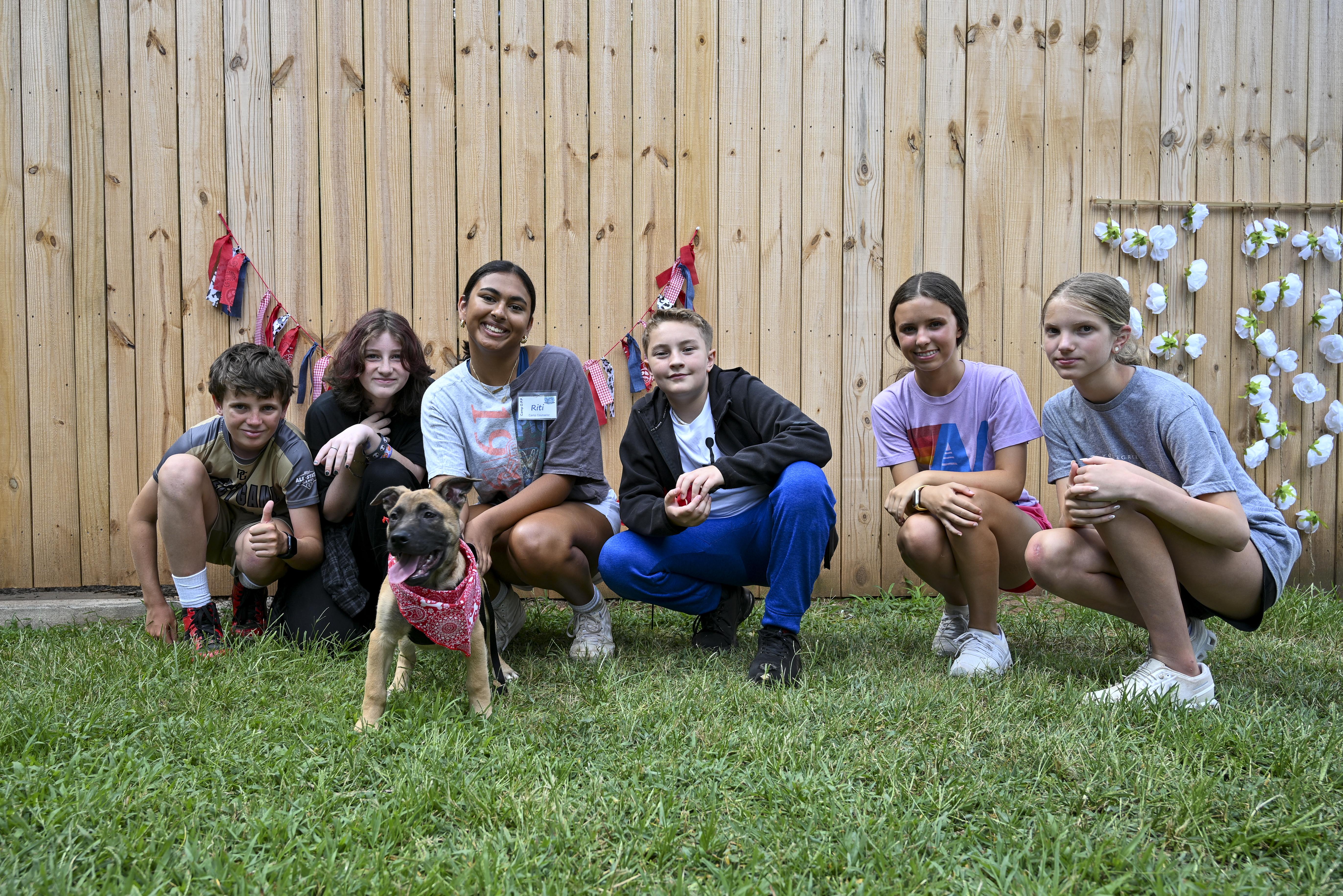 Luke, a Adoptable mixed breed in Marietta, GA image 2/4