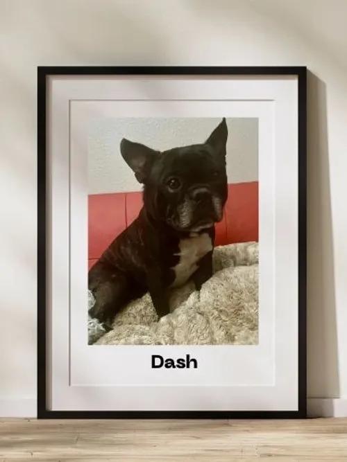 Dash
