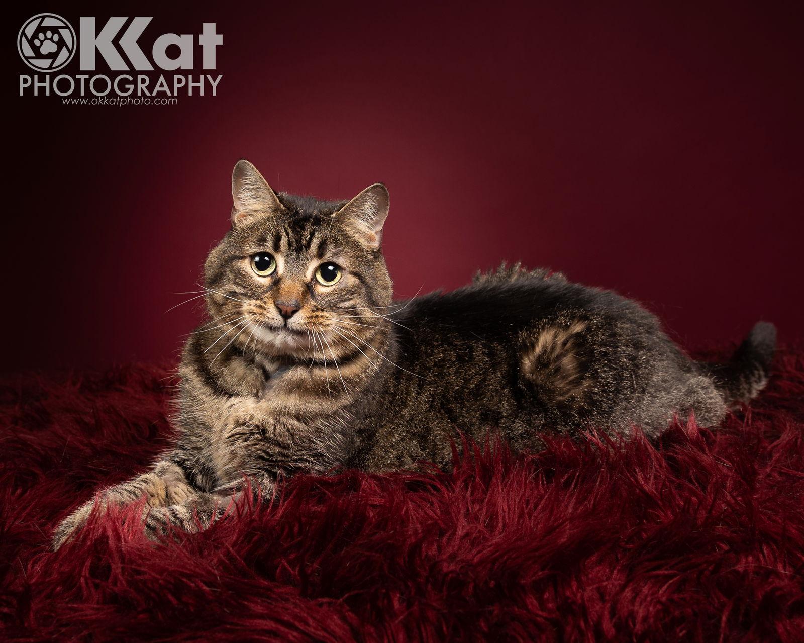 Cassie — thumbnail 2