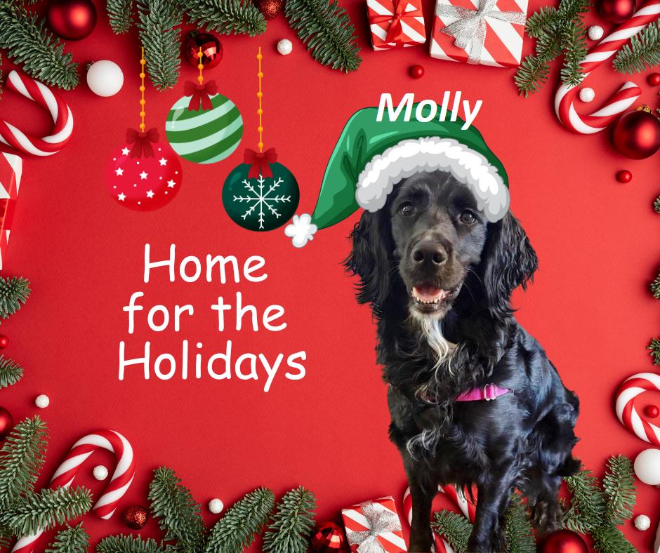 Mollysuch A Beauty! thumbnail 2