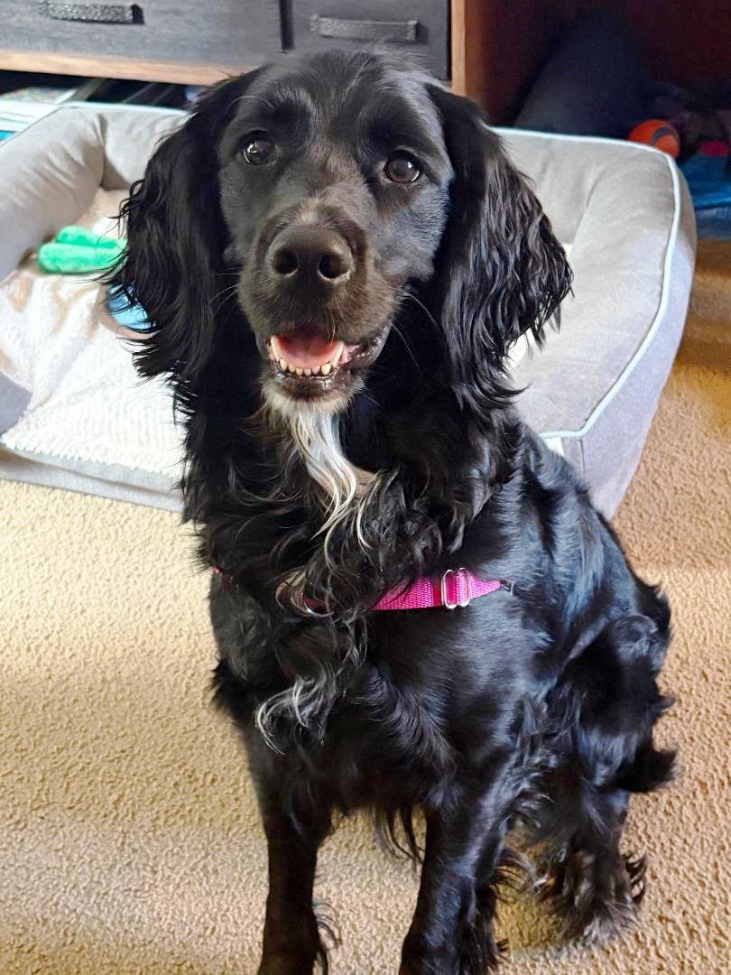 Mollysuch A Beauty! thumbnail 3