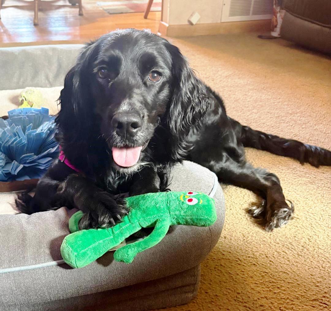 Mollysuch A Beauty! thumbnail 4