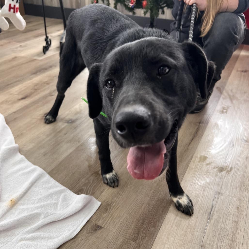 Remington — thumbnail 5