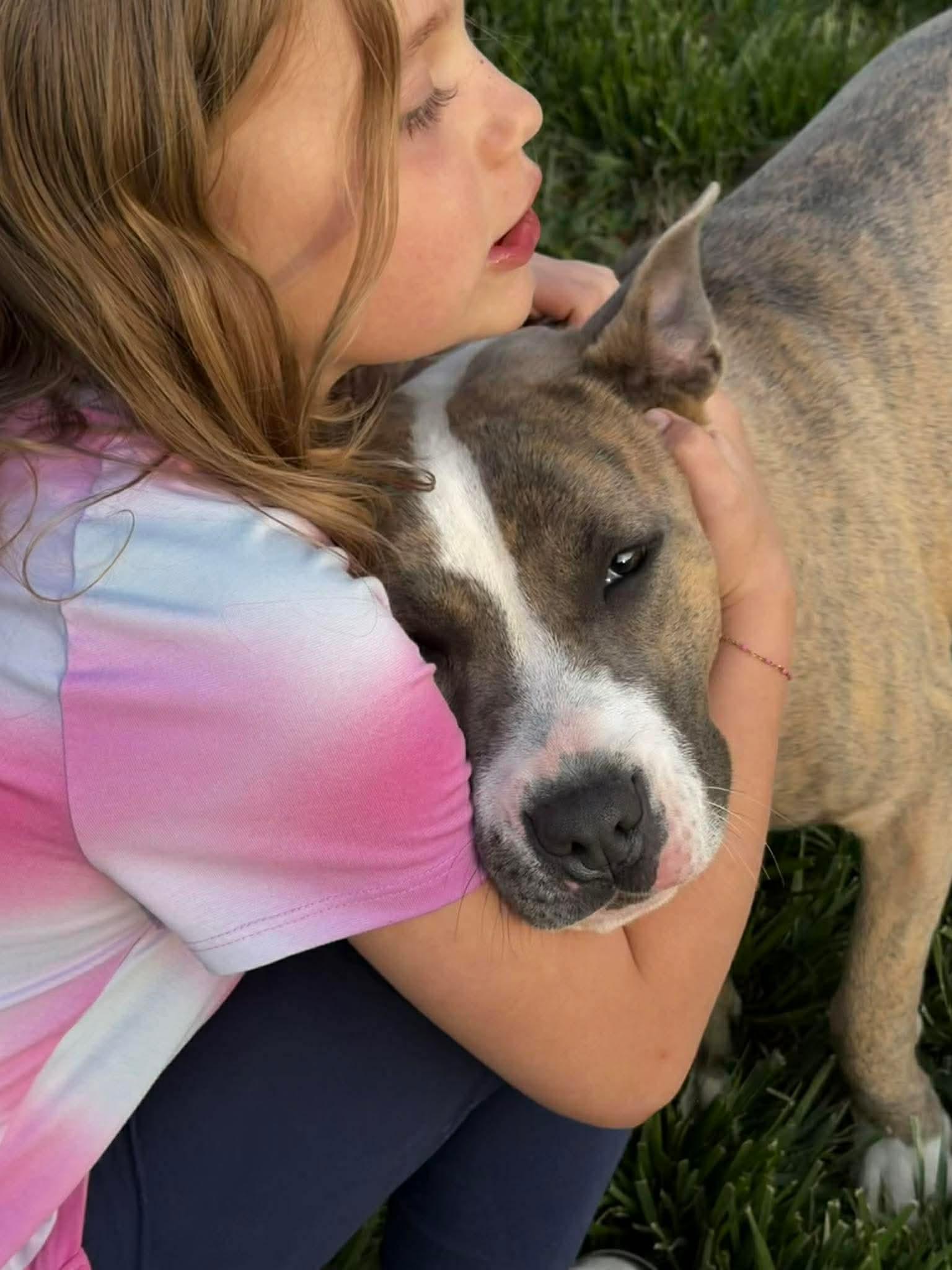 Enlarge Natalia, a ADOPTABLE mixed breed in Randleman, NC image 3/6