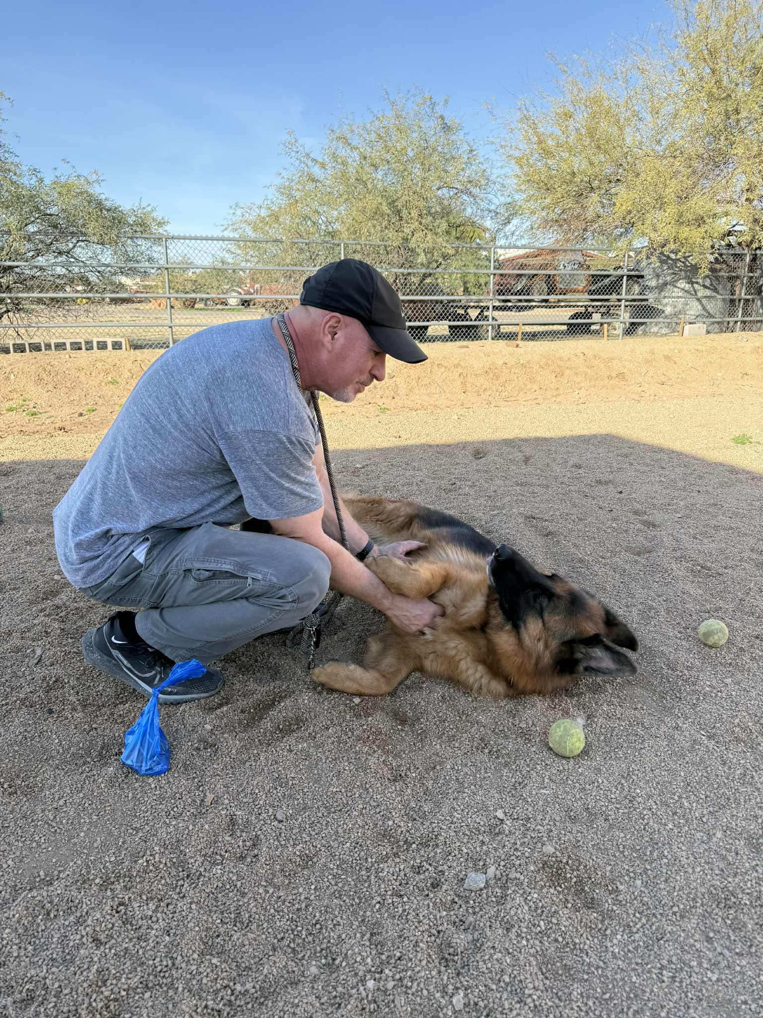 Enlarge Drew, a Adoptable mixed breed in Glendale, AZ image 5/6