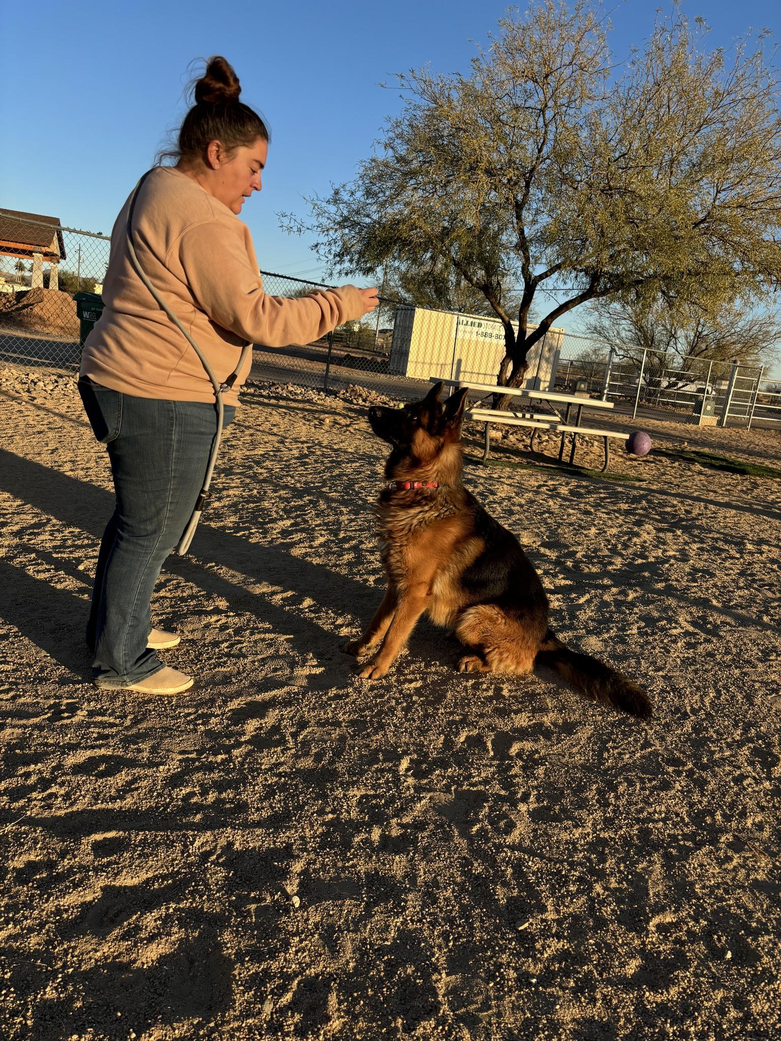 Drew, a Adoptable mixed breed in Glendale, AZ image 4/6