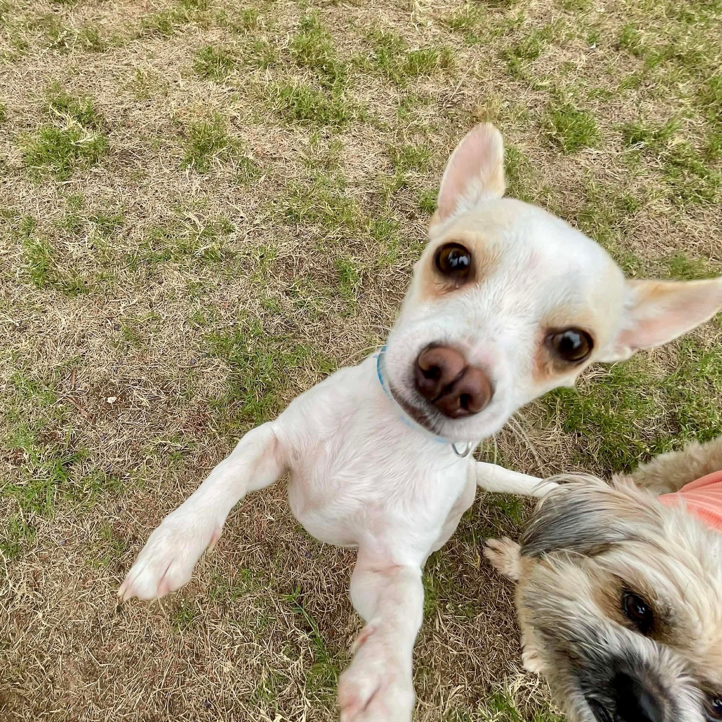 Miguel — thumbnail 2