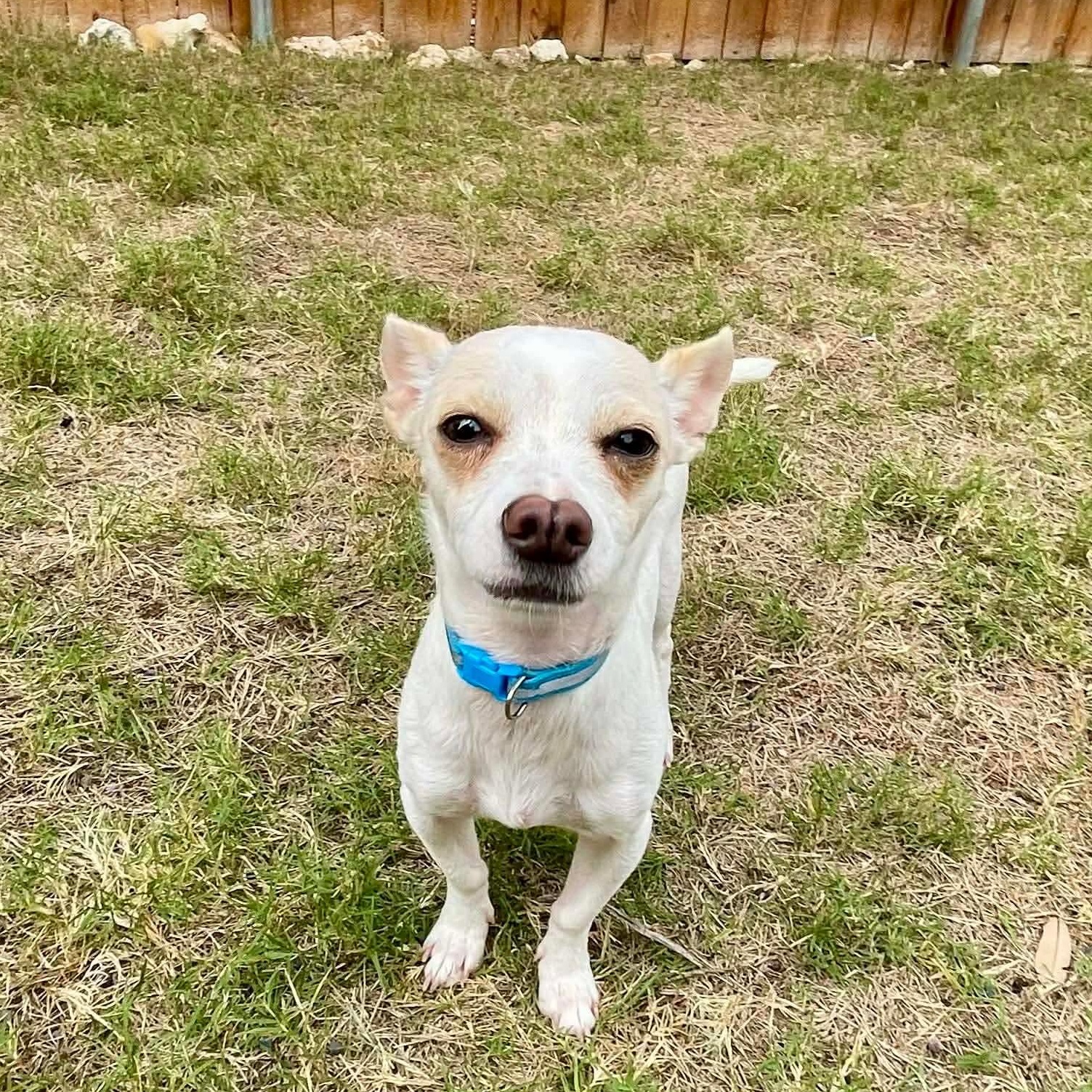 Miguel — thumbnail 5