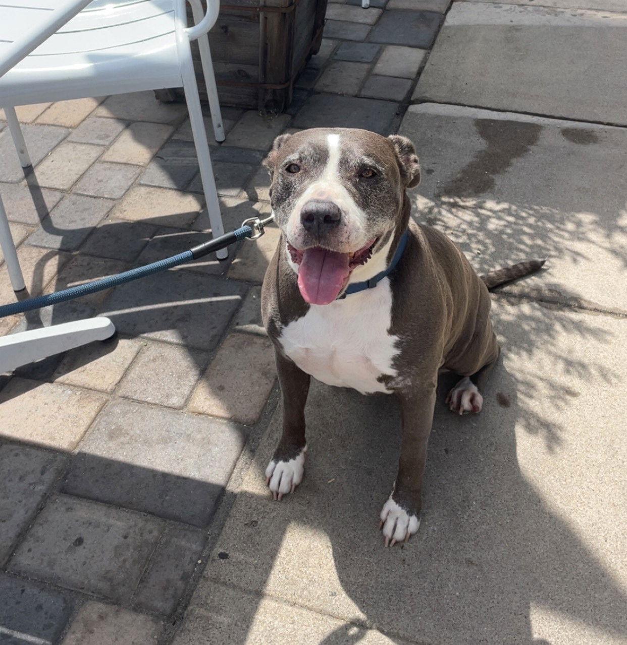 Mabel - Courtesy Post — thumbnail 6