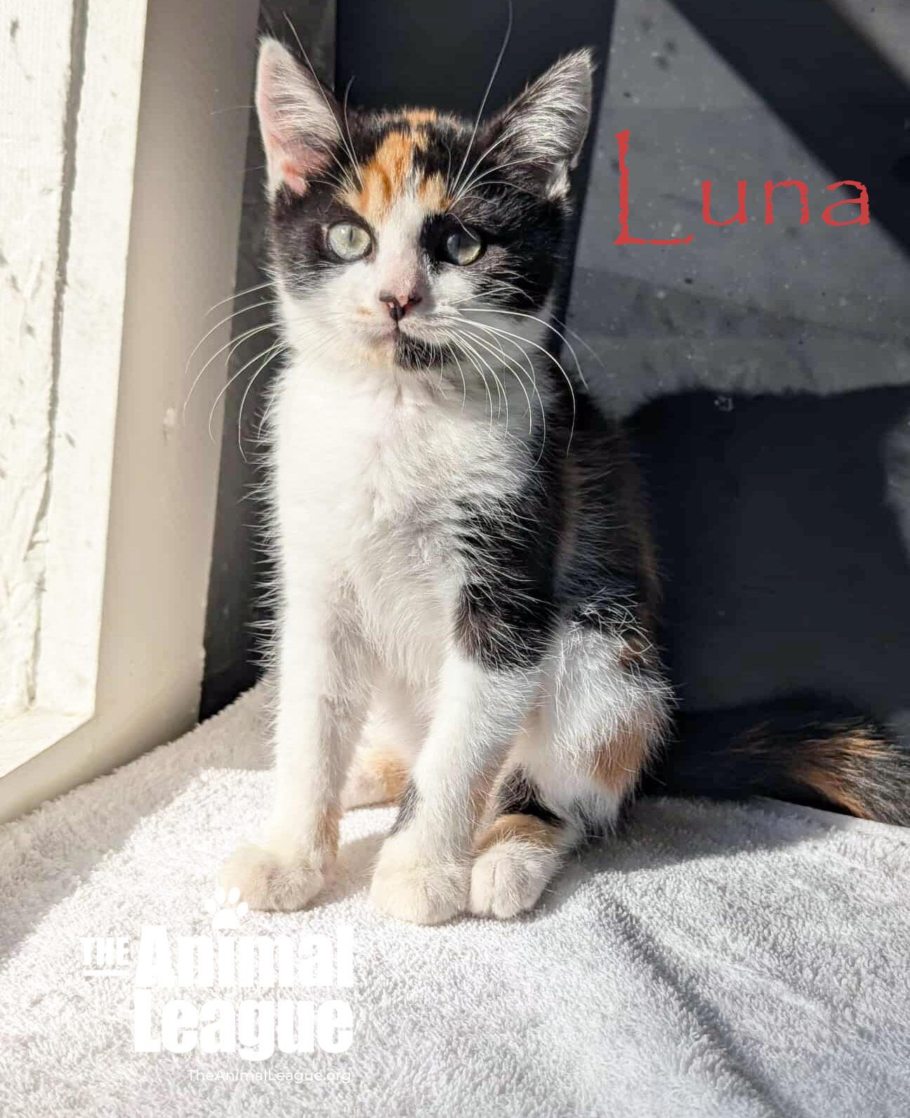 Luna
