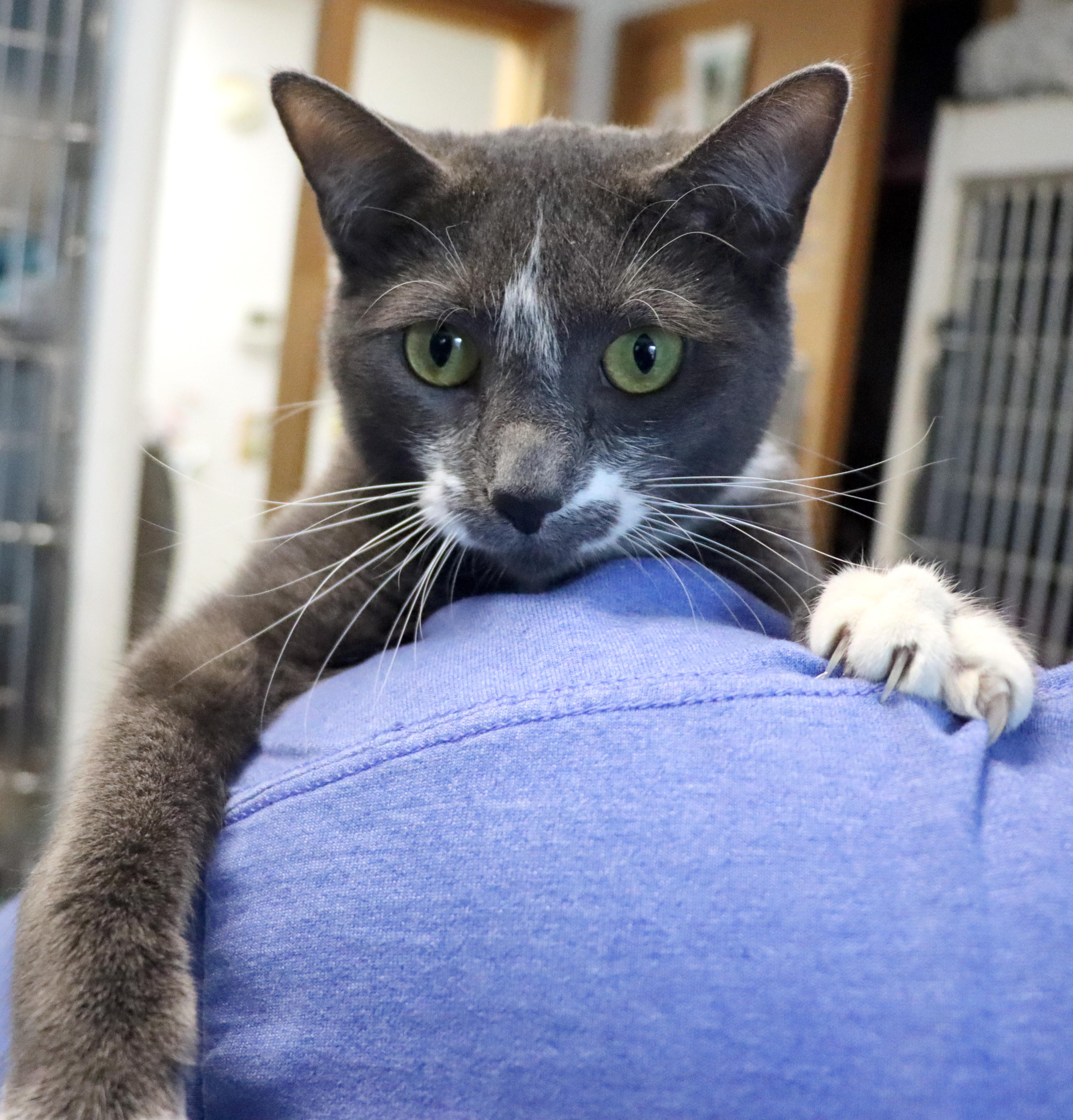 Betty — thumbnail 2