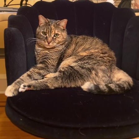 Lily