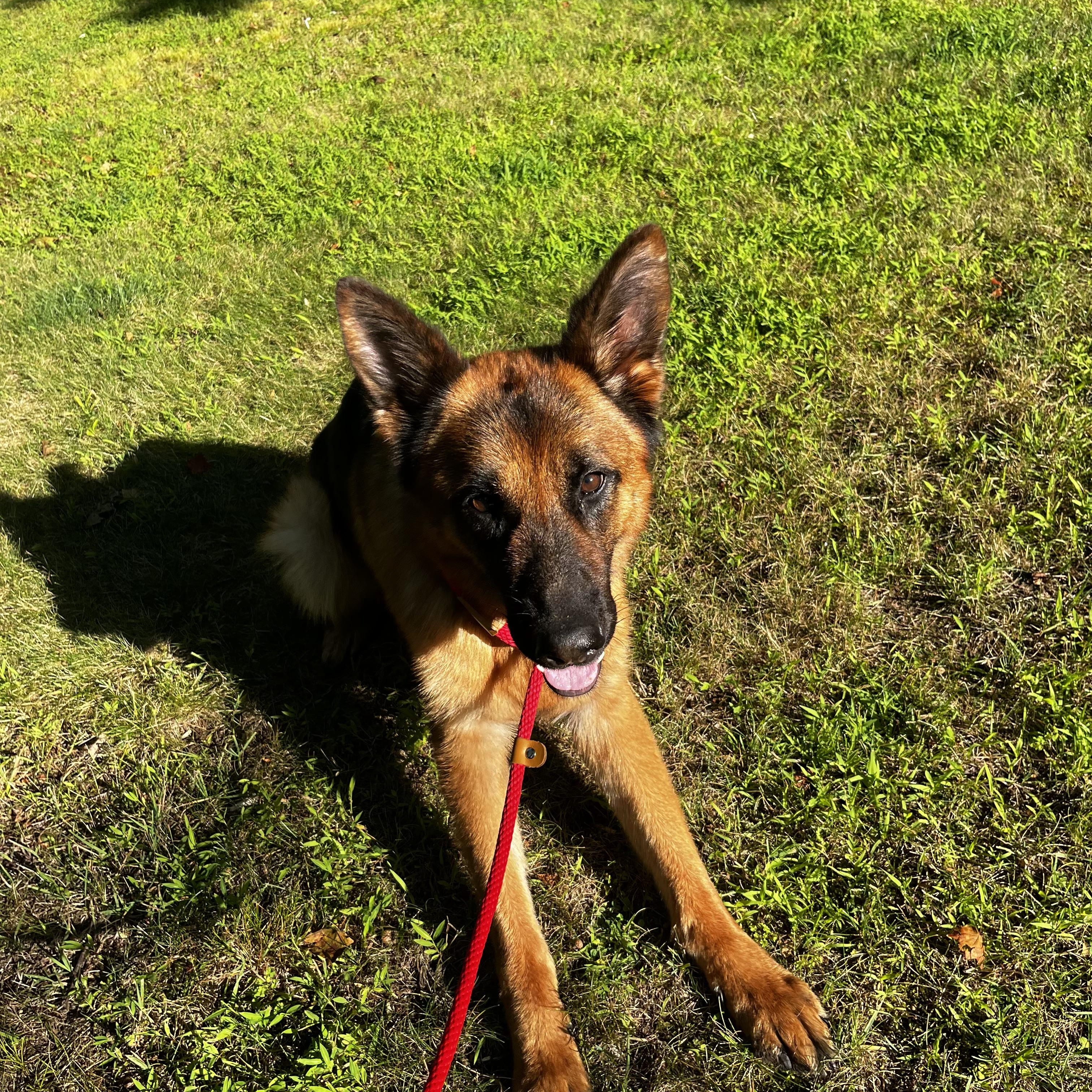 Thor