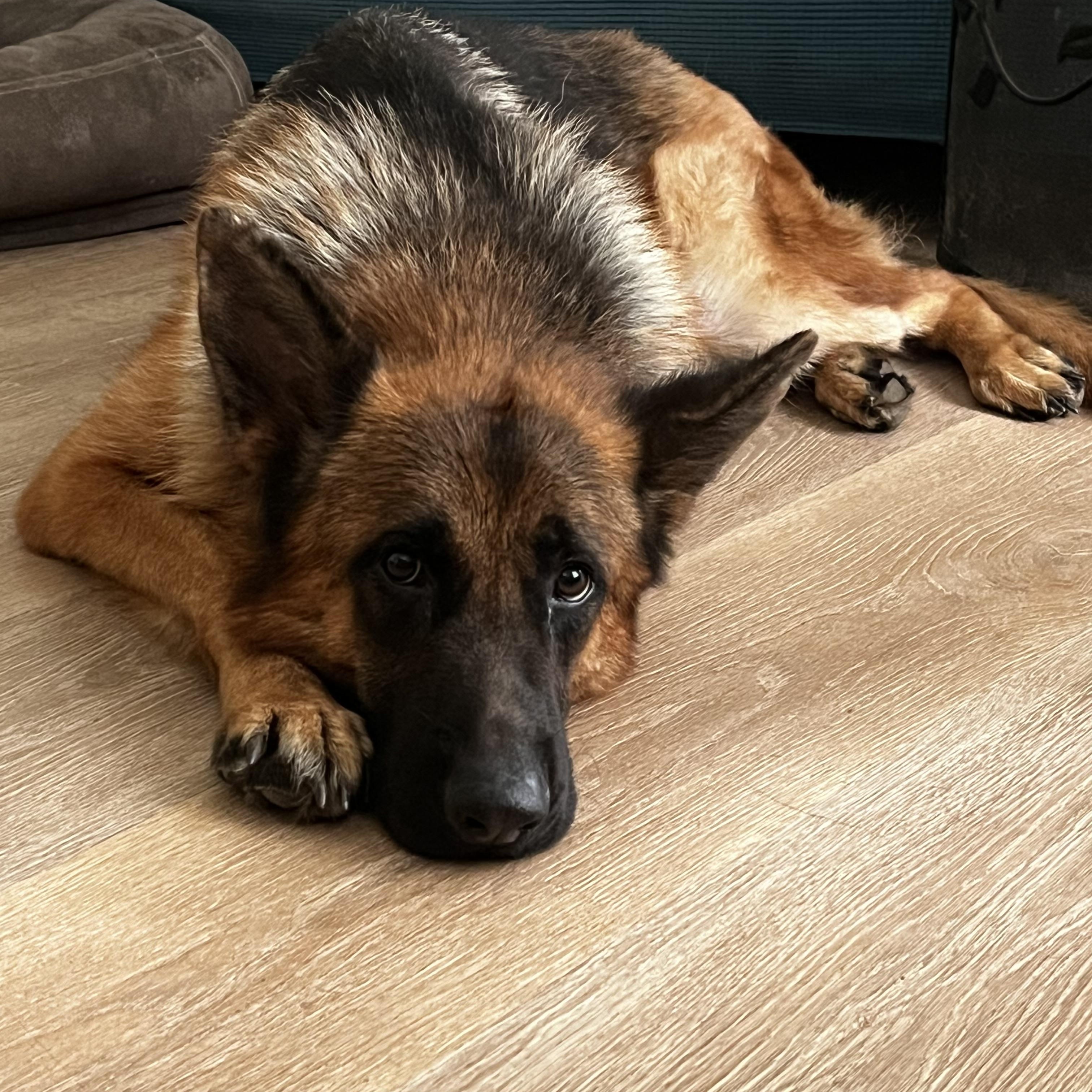 Thor