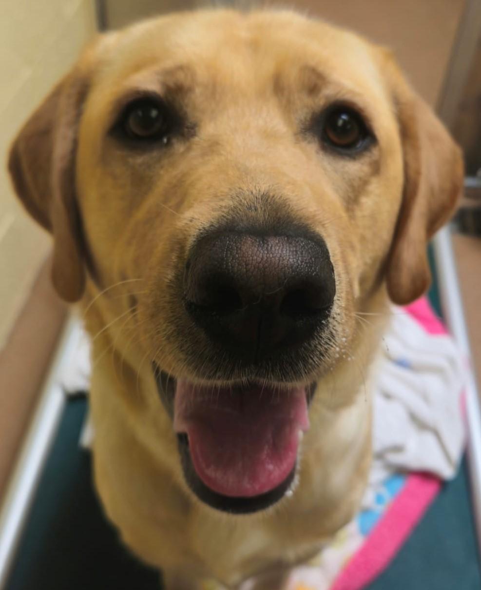 Miss Maggie photo 2