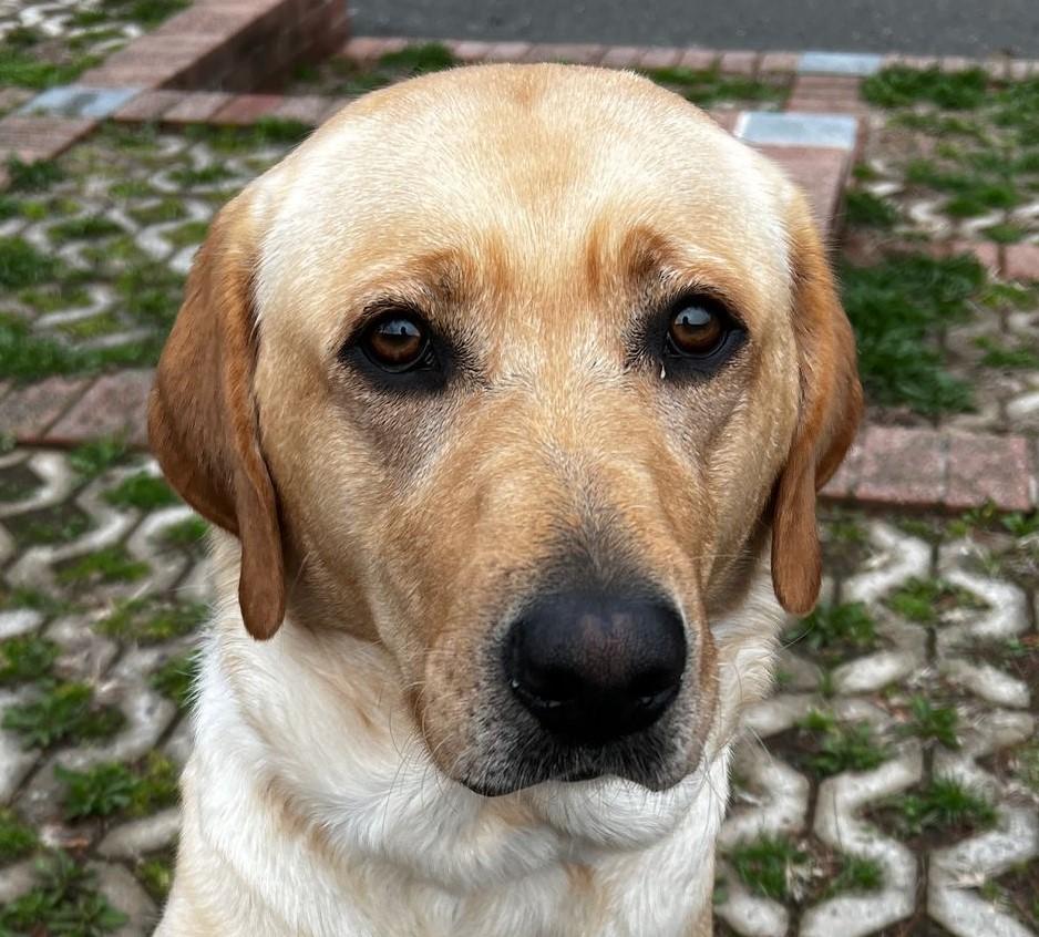 Miss Maggie photo 6