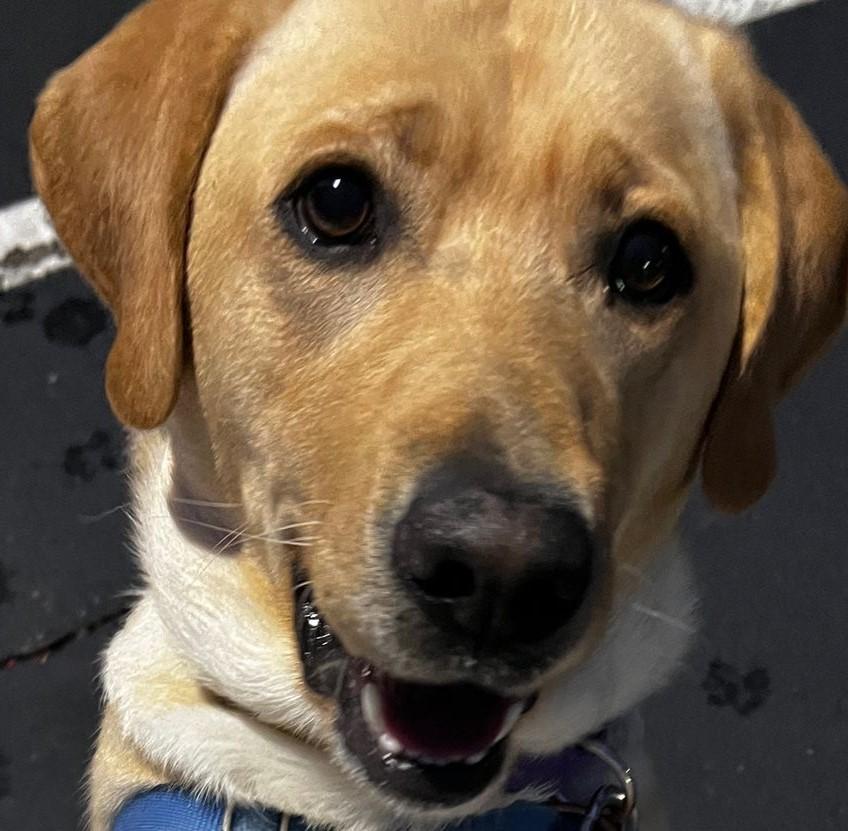 Miss Maggie photo 4