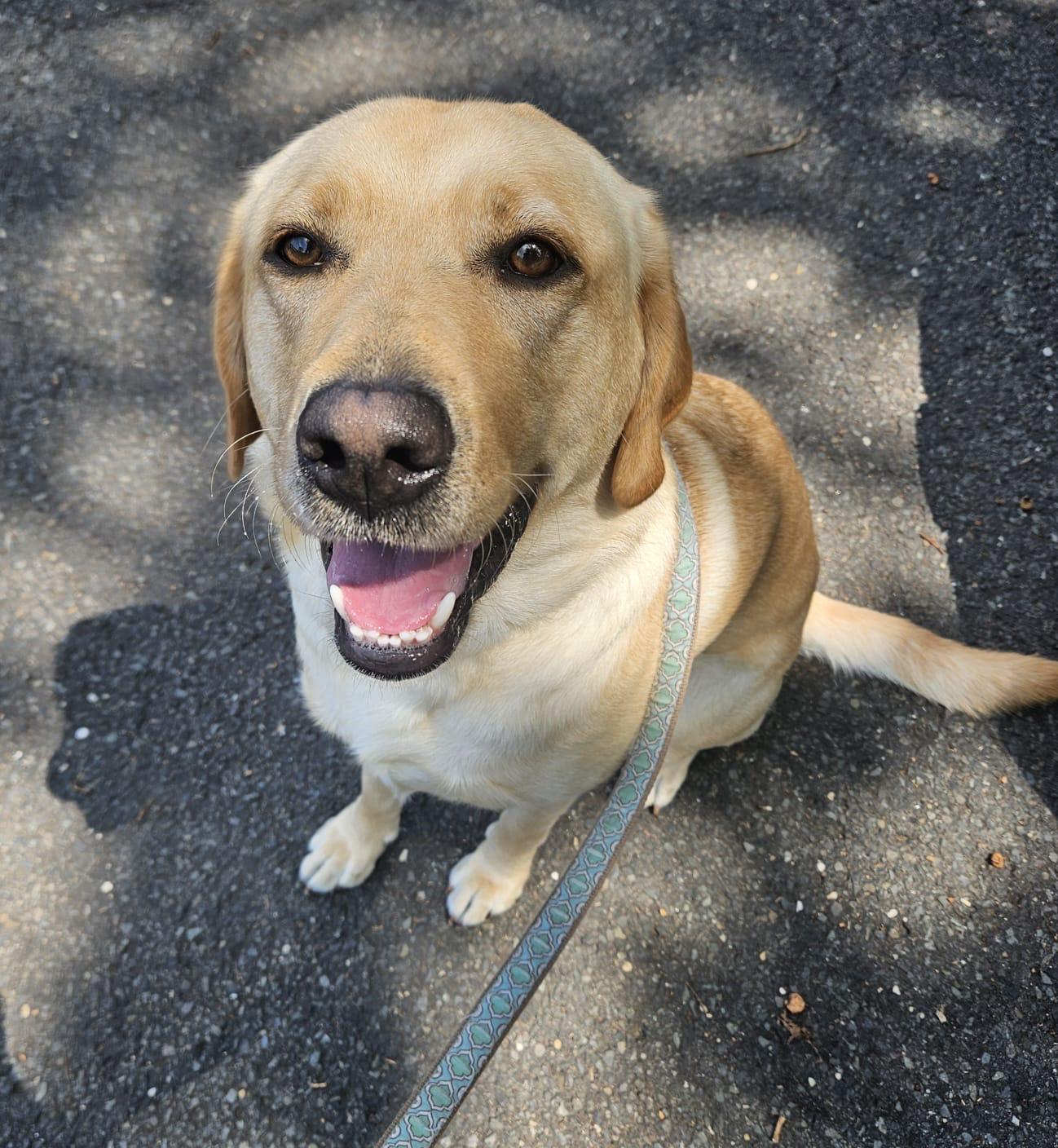 Miss Maggie photo 3