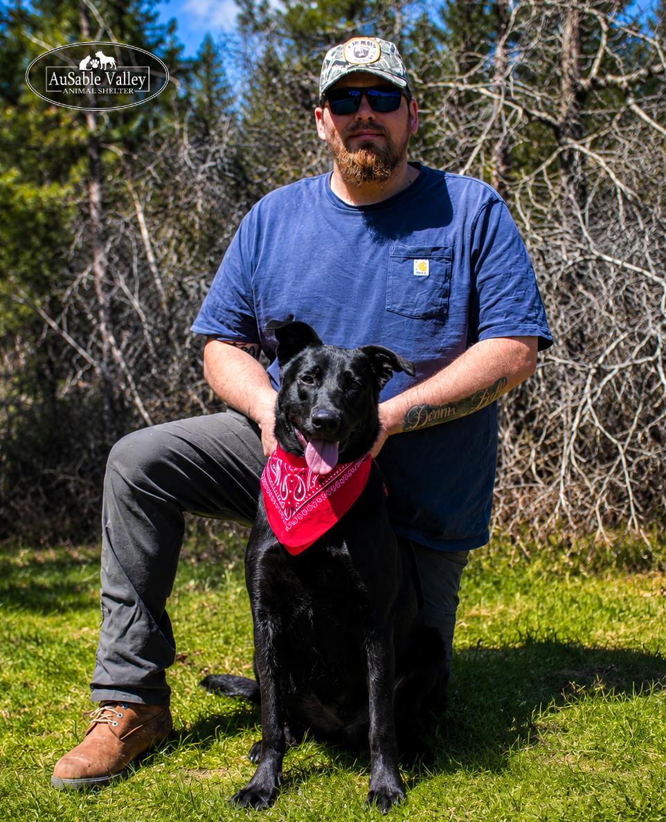 Milo, a ADOPTABLE Mixed Breed in Grayling, MI image 4/6