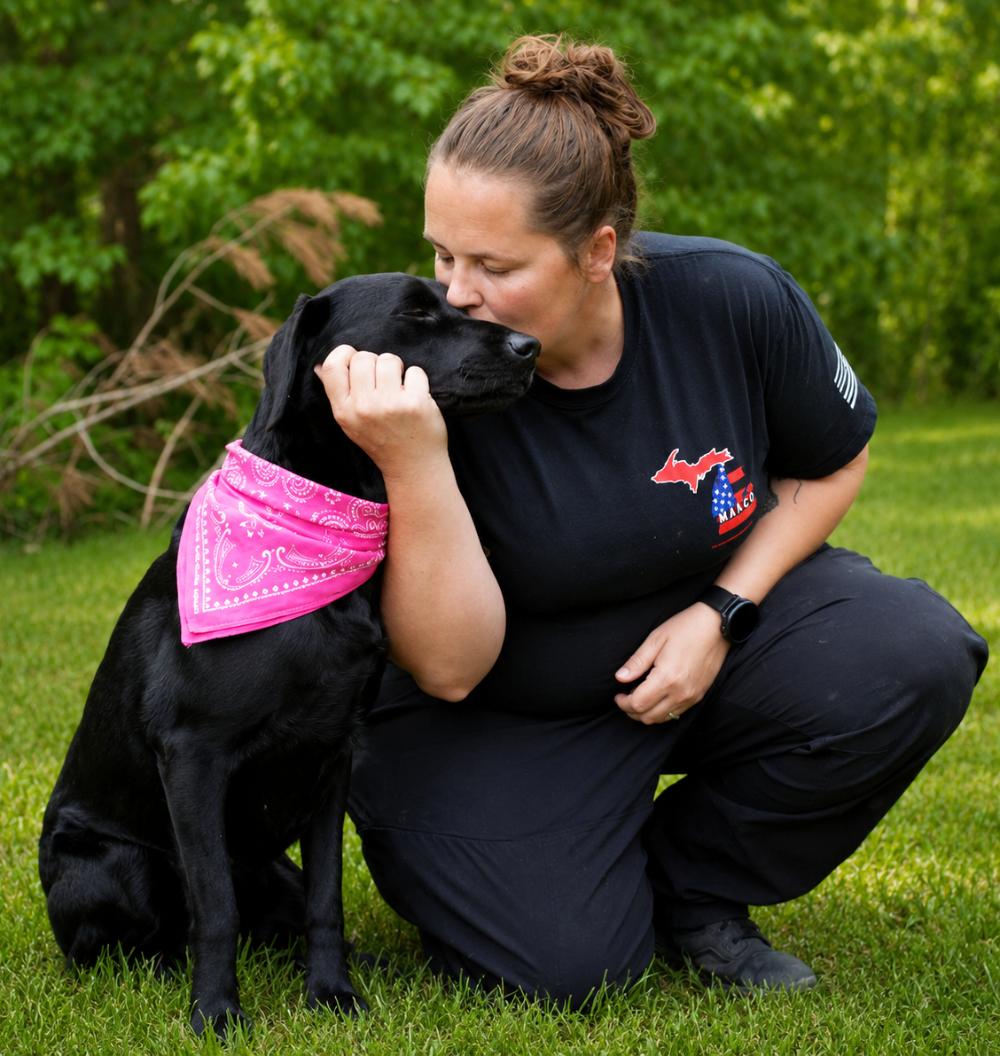 Enlarge Nova, a ADOPTABLE mixed breed in Cheboygan, MI image 6/6